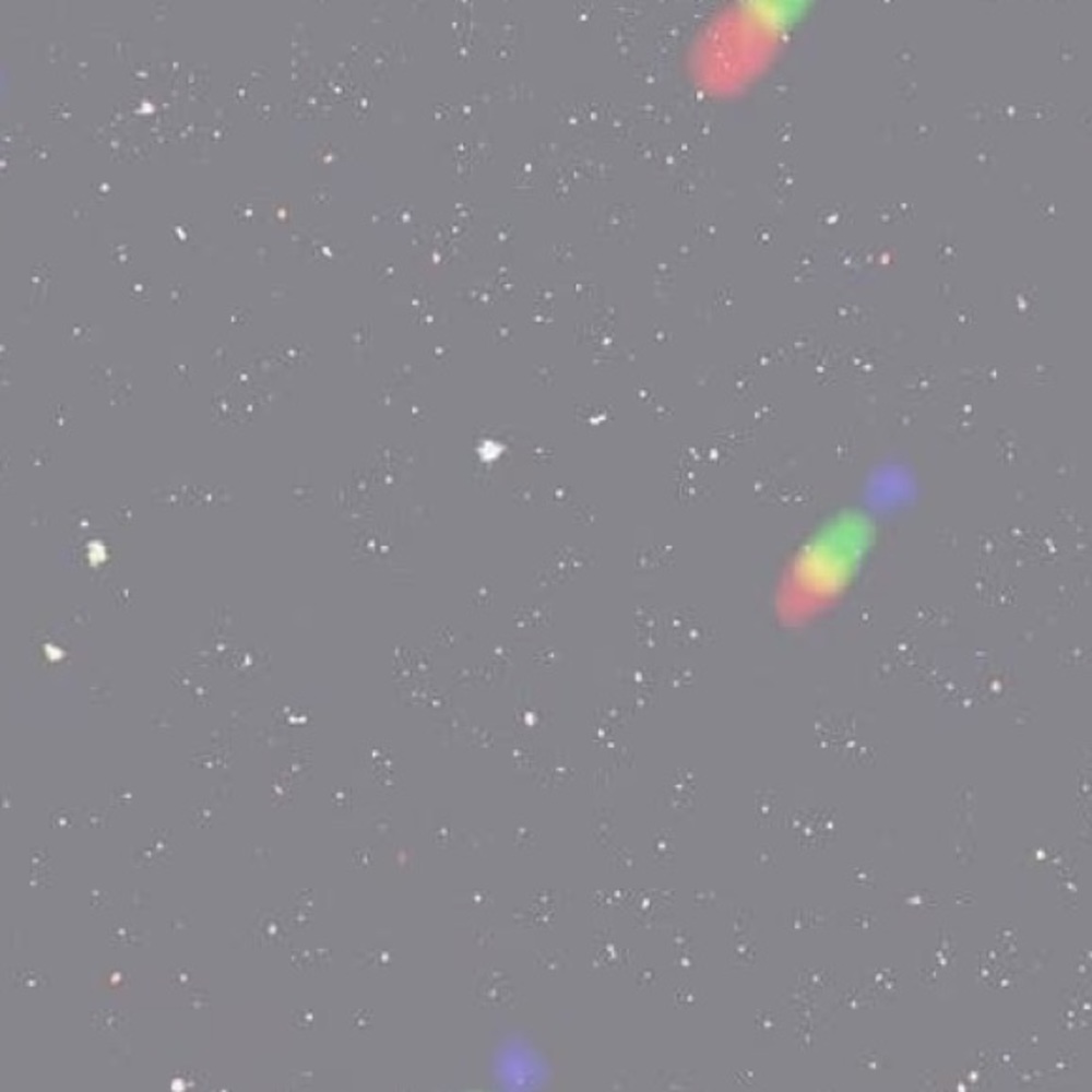 Meet your Posher, Amyah